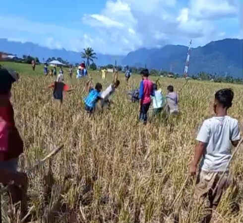 Gambar ini memiliki atribut alt yang kosong; nama berkasnya adalah 38705ee5-127b-4715-b275-001962b09176-490x450.jpg